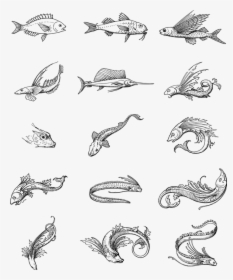 Fish, Vintage, Line Art, Animals, Swimming, Aquatic - Sketch, HD Png Download, Transparent PNG