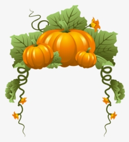 Tubes Automne Ecrire Un Nouvel Article - Pumpkin Vine, HD Png Download, Transparent PNG