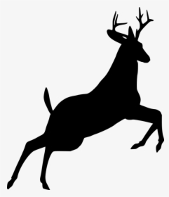 Santa Claus S Reindeer Santa Claus S Reindeer Vector - Deer Jumping Silhouette, HD Png Download, Transparent PNG