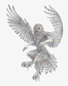 Barn Owl Drawings Flying, HD Png Download, Transparent PNG