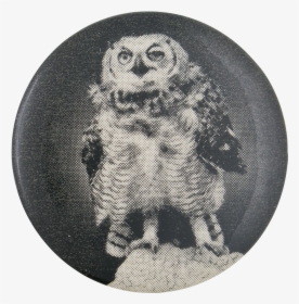 Black And White Owl Art Button Museum - Great Grey Owl, HD Png Download, Transparent PNG