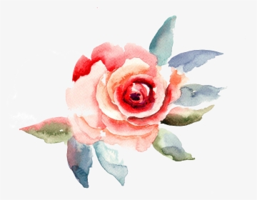 Travelling To Infinity - Rose Flower Watercolor Painting, HD Png Download, Transparent PNG