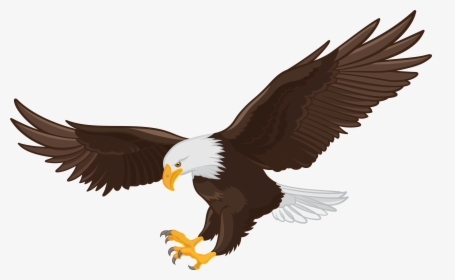 Transparent American Eagle Png - Bald Eagle Clipart Png, Png Download, Transparent PNG