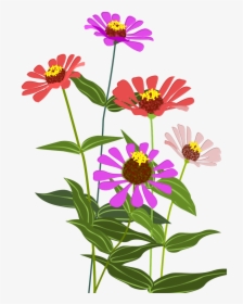 Cosmos Flower Clipart Png, Transparent Png, Transparent PNG