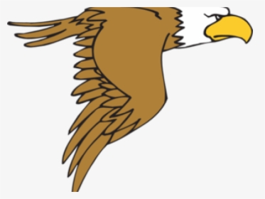 Coopers Hawk Clipart Soaring Eagle - Flying Cartoon Eagle Clipart, HD Png Download, Transparent PNG