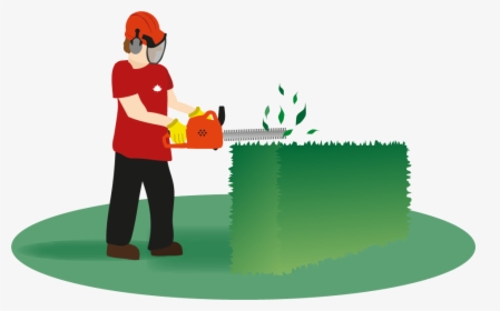 Hedges Clipart Hedge Trimming - Hedging Clipart, HD Png Download, Transparent PNG