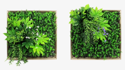 Vertical Garden Png - Vertical Garden Plants Png, Transparent Png, Transparent PNG