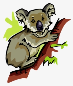 Koala Clipart Images - Clip Art, HD Png Download, Transparent PNG