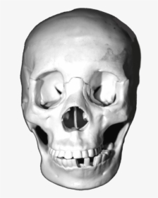 Clip Art Cool Skull Clip Art - Skull Jpeg, HD Png Download, Transparent PNG