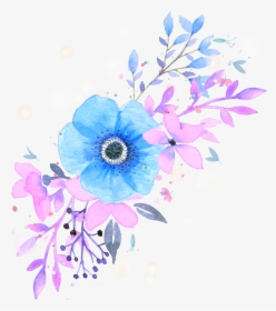 Transparent Watercolor Floral Clipart - Mook Refund High School, HD Png Download, Transparent PNG