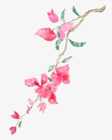 Watercolor Images Of Bougainvillea, HD Png Download, Transparent PNG