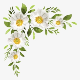 Transparent Flower Bouquet Clipart - White Flowers Transparent Png, Png Download, Transparent PNG