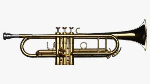 Transparent Trumpets Png - Natural Trumpet Png Instrument, Png Download, Transparent PNG