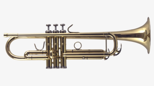 Jp251sw Lacquer102019 Long - Trumpet Vs Horn, HD Png Download, Transparent PNG