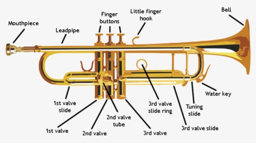 All The Parts Of A Trumpet, HD Png Download, Transparent PNG