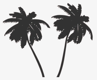Transparent Tropical Island Clipart Black And White - Palm Tree Vector Png, Png Download, Transparent PNG