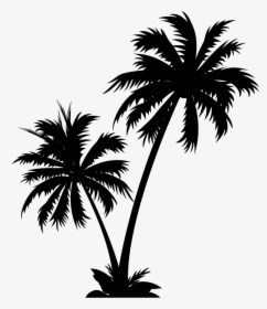 Transparent Coconut Tree Vector Png - Coconut Tree Vector Png, Png Download, Transparent PNG