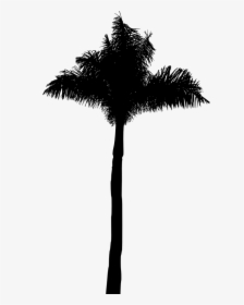 Black Palm Tree Png, Transparent Png, Transparent PNG