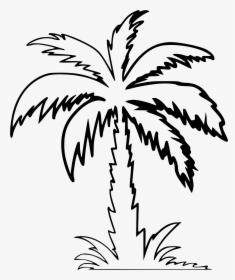 Clipart - Palm Tree Clipart Outline, HD Png Download, Transparent PNG