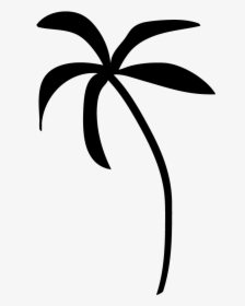 Palm Tree Clip Art - Palm Tree Clipart Black And White No Background, HD Png Download, Transparent PNG