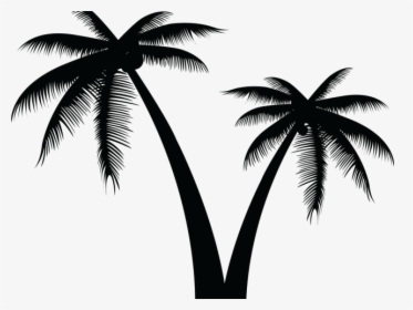Transparent Tree Vector Png - Vector Palm Tree Png, Png Download, Transparent PNG