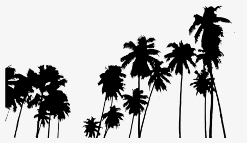 Palm Tree Clipart Panda - Png Palm Trees, Transparent Png, Transparent PNG