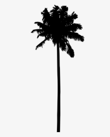 Palm Tree Silhouette Png - Hd Palm Tree Silhouette, Transparent Png, Transparent PNG