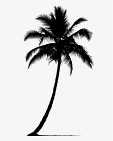 Arecaceae Silhouette Tree - Silhouette Palm Tree Png, Transparent Png, Transparent PNG