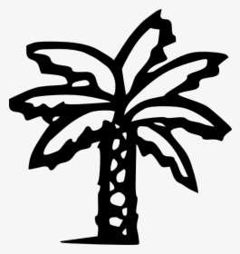 Palm Tree Svg Clip Arts - Palm Tree Clip Art Black, HD Png Download, Transparent PNG