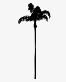 Palm Tree - Silhouet Palm Tree Png, Transparent Png, Transparent PNG