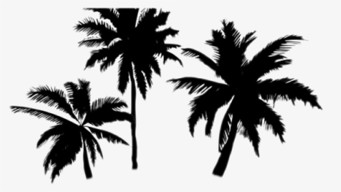 Palm Trees Transparent Background, HD Png Download, Transparent PNG