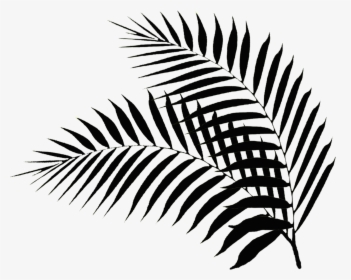 Transparent Palm Sunday Clip Art - Palm Leaf Silhouette Png, Png Download, Transparent PNG