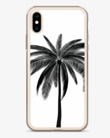 Black Palm Tree Iphone Case For All Iphone Models Including - Iphone, HD Png Download, Transparent PNG