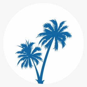 Transparent Black Palm Tree Png - Coconut Tree Vector Png, Png Download, Transparent PNG