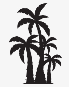 Palm Trees Silhouette At Getdrawings, HD Png Download, Transparent PNG