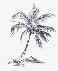 Clip Art Collection Of Free Paint - Coconut Tree Line Art, HD Png Download, Transparent PNG