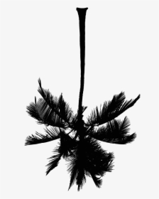 White Palm Tree Png , Png Download - Palm Tree Clip Art, Transparent Png, Transparent PNG