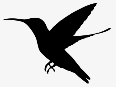 Hummingbird Silhouette Clip Art Www Pixshark Com Pigeon - Hummingbird Clipart Bird Silhouette, HD Png Download, Transparent PNG