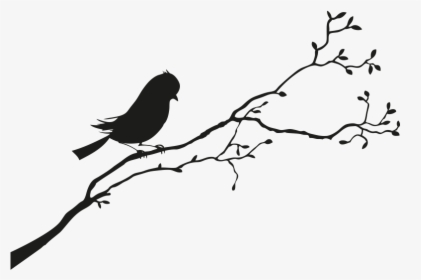 Bird Sparrow Silhouette - Black And White Bird Silhouette, HD Png Download, Transparent PNG