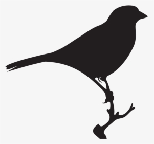 Sparrow Black And White, HD Png Download, Transparent PNG