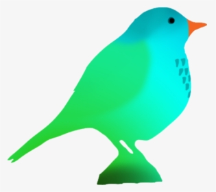 Fantasy Colored Bird Silhouette - Colorful Bird Silhouette On Transparent, HD Png Download, Transparent PNG