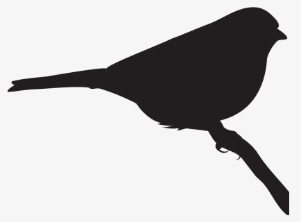 Clay Birds In Flight Clipart , Png Download - Emberizidae, Transparent Png, Transparent PNG