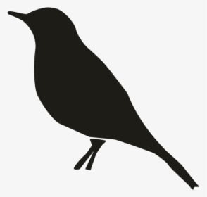 Smock Sparrow Motif - Bird Perched Clipart, HD Png Download, Transparent PNG
