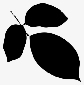 Free Vector Leaves Silhouette At Getdrawings - Vector Graphics, HD Png Download, Transparent PNG