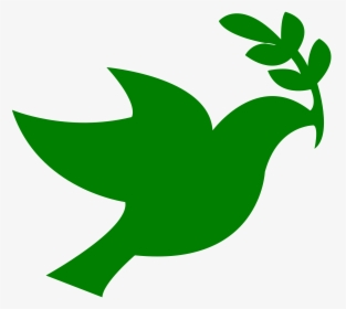Vector Bird Dove - Peace Dove Green, HD Png Download, Transparent PNG