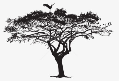 Tree Png Silhouette -free Png Exotic Tree And Bird - Wilkswood Reggae Festival 2019 Lineup, Transparent Png, Transparent PNG
