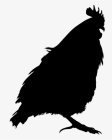 Bird Vector, HD Png Download, Transparent PNG