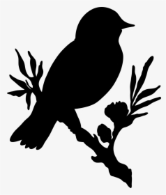 Bird Branch Flower Free Picture - Silhouette Bird On Branch, HD Png Download, Transparent PNG