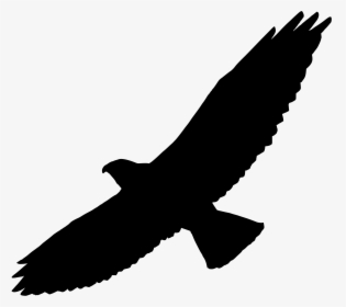Swainson S Hawk - Flying Hawk Silhouette Png, Transparent Png, Transparent PNG