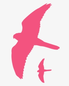 Silueta Halcon, HD Png Download, Transparent PNG